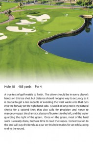 Green Detail and Horizon Photography Example