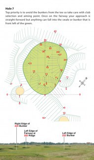Green Detail and Horizon Photography Example