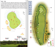 The Carrick eStrokesavers